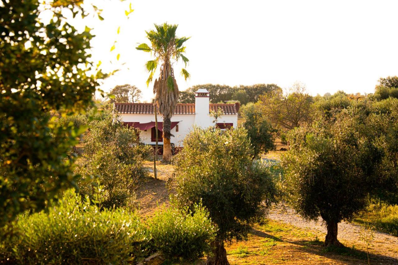 Monte Da Coelha Al Hotell Redondo Exteriör bild